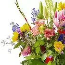 Vanlose flowers  -  Bouquet Full in Bloom Flower Bouquet/Arrangement