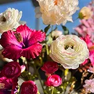 Halta blomster- Sunkysset bukett Blomsterarrangementer bukett