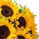 Chile flowers  -  Bouquet of Sunflowers Flower Bouquet/Arrangement