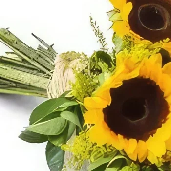 Φορταλέζα λουλούδια- Μπουκέτο ηλιοτρόπια Μπουκέτο/ρύθμιση λουλουδιών