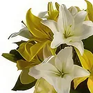 fiorista fiori di Cao Lunh- Ambizioso Bouquet floreale