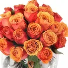 Osidda flowers  -  Bouquet of Orange Roses with Chocolate Cake Flower Bouquet/Arrangement
