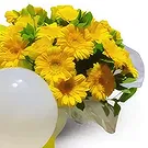Sa Caleta flowers  -  Gerbera Arrangement Flower Bouquet/Arrangement