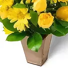 Brasilien Blumen Florist- Arrangement von gelben Gänseblümchen und Rose Bouquet/Blumenschmuck