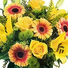 Case Lunghe flowers  -  Yellow Flowers Bouquet  with Soft Toy and Car Flower Bouquet/Arrangement