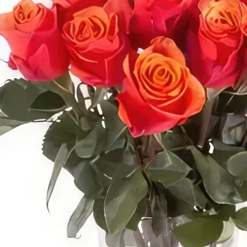 Nurnberg rože- Sončni zahod lepota Cvet šopek/dogovor