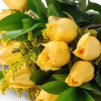 벨루 오리 존치 꽃- 15 개의 옐로우 로즈와 레드 와인의 꽃다발 꽃다발/꽃꽂이