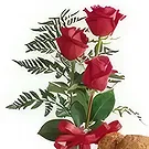Adma flowers  -  Teddy with Love Flower Bouquet/Arrangement