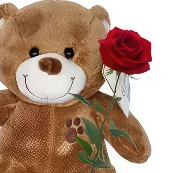 Ζυρίχη λουλούδια- Bear Hug Μπουκέτο/ρύθμιση λουλουδιών