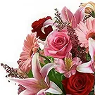 Greece flowers  -  Pink Roses & Teddy Flower Bouquet/Arrangement