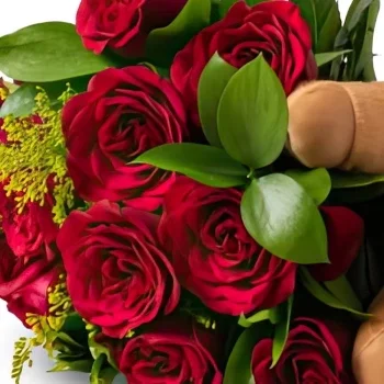 Φορταλέζα λουλούδια- Μπουκέτο από 12 κόκκινα τριαντάφυλλα, Teddybe Μπουκέτο/ρύθμιση λουλουδιών