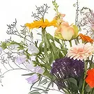 Amsterdam-Zuidoost flowers  -  Sweetheart Flower Bouquet/Arrangement