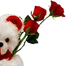Greece flowers  -  Teddy Bear with Red Roses Flower Bouquet/Arrangement