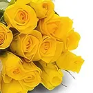 Bliznaci Blumen Florist- Schmerzlose Geschenke Bouquet/Blumenschmuck