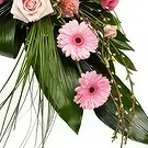 Swallow flowers  -  Symbol of Peace Flower Bouquet/Arrangement