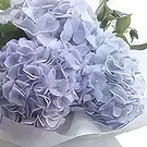 DIFC flowers  -  Thank You Flower Bouquet/Arrangement