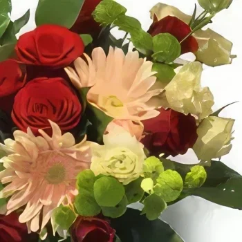 Krakow cvijeća- Zeleni aranžman Cvjetni buket/aranžman