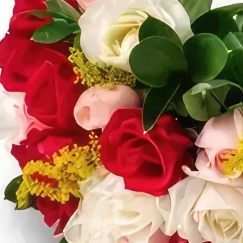 Salvador blomster- Bukett med 24 roser av tre farger Blomsterarrangementer bukett