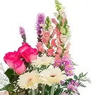 San Jose Santiago flowers  -  Pink present Flower Bouquet/Arrangement