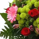 Lublin flowers  -  Special Occasion Flower Bouquet/Arrangement