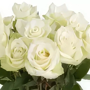 flores de Dusseldorf- Elegância atemporal Bouquet/arranjo de flor