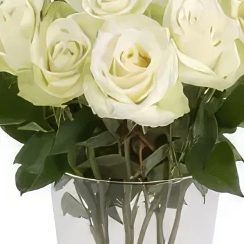 דורטמונד פרחים- אלגנטיות נצחית זר פרחים/סידור פרחים