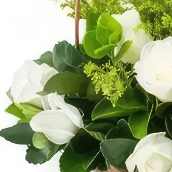 브라질리아 꽃- 15 개의 흰색 장미가있는 바구니 꽃다발/꽃꽂이
