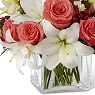 Macuilacatl Chico flowers  -  Wellness bouquet Flower Bouquet/Arrangement
