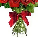Sitrah blommor- 12 röda rosor Bukett/blomsterarrangemang