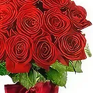 Sitrah blommor- 12 röda rosor Bukett/blomsterarrangemang