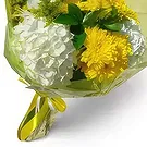fleuriste fleurs de Niu Blau- Soleil Bouquet/Arrangement floral