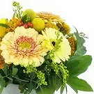Le François flowers  -  Tokyo orange & yellow composition Flower Bouquet/Arrangement