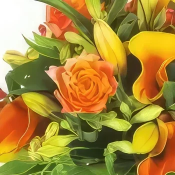 Toulouse kukat- Tonic-oranssi kukkakimppu Kukka kukkakimppu