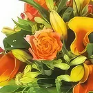 Bayonne flowers  -  Tonic orange bouquet Flower Bouquet/Arrangement