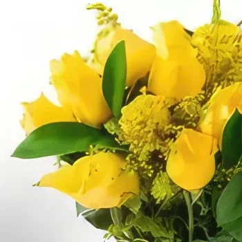 flores de Rio de Janeiro- Arranjo de 17 Rosas Amarelas em Vaso Bouquet/arranjo de flor