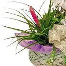 Ibiza flowers  -  Serene Garden Baskets Flower Bouquet/Arrangement