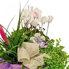 Ibiza flowers  -  Serene Garden Baskets Flower Bouquet/Arrangement