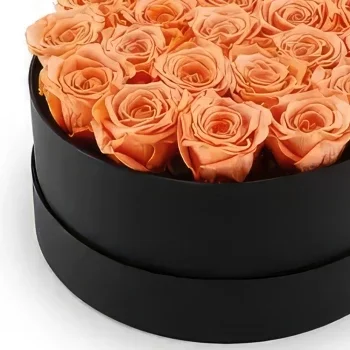 Μπράντφορντ λουλούδια- Τριαντάφυλλα σαμπάνιας Μπουκέτο/ρύθμιση λουλουδιών