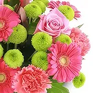 Palia Ampelia flowers  -  Petals Party Flower Bouquet/Arrangement