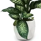 Cala Llonga flowers  -  Verdant Tropic Beauty Flower Bouquet/Arrangement