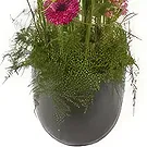 Sunds blommor- Lyxigt färgglatt blomsterarrangemang Bukett/blomsterarrangemang
