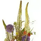 Sunds blommor- Lyxigt färgglatt blomsterarrangemang Bukett/blomsterarrangemang