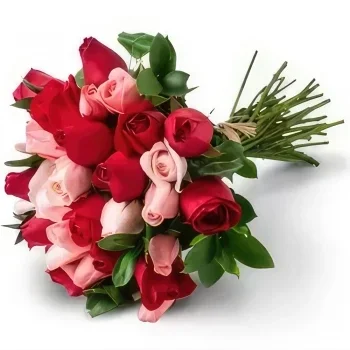 fleuriste fleurs de Fortaleza- Bouquet de 32 roses à deux couleurs Bouquet/Arrangement floral