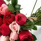 Santa Maria flowers  -  Bouquet of 32 Two-Color Roses Flower Bouquet/Arrangement