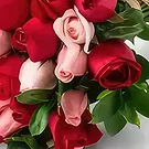 Santa Maria flowers  -  Bouquet of 32 Two-Color Roses Flower Bouquet/Arrangement