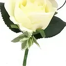 Cabo Balanco blommor- Double Rose knapphål Bukett/blomsterarrangemang