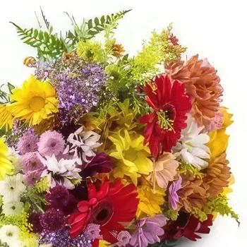 fleuriste fleurs de Fortaleza- Bouquet de Fleurs Campo Grande Bouquet/Arrangement floral