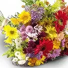 Santa Maria flowers  -  Campo Grande Flowers Bouquet Flower Bouquet/Arrangement