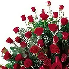 Cung Kiệm flowers  -  Captivate Love Flower Bouquet/Arrangement