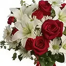 Uichang-dong flowers  -  Love Bird Flower Bouquet/Arrangement